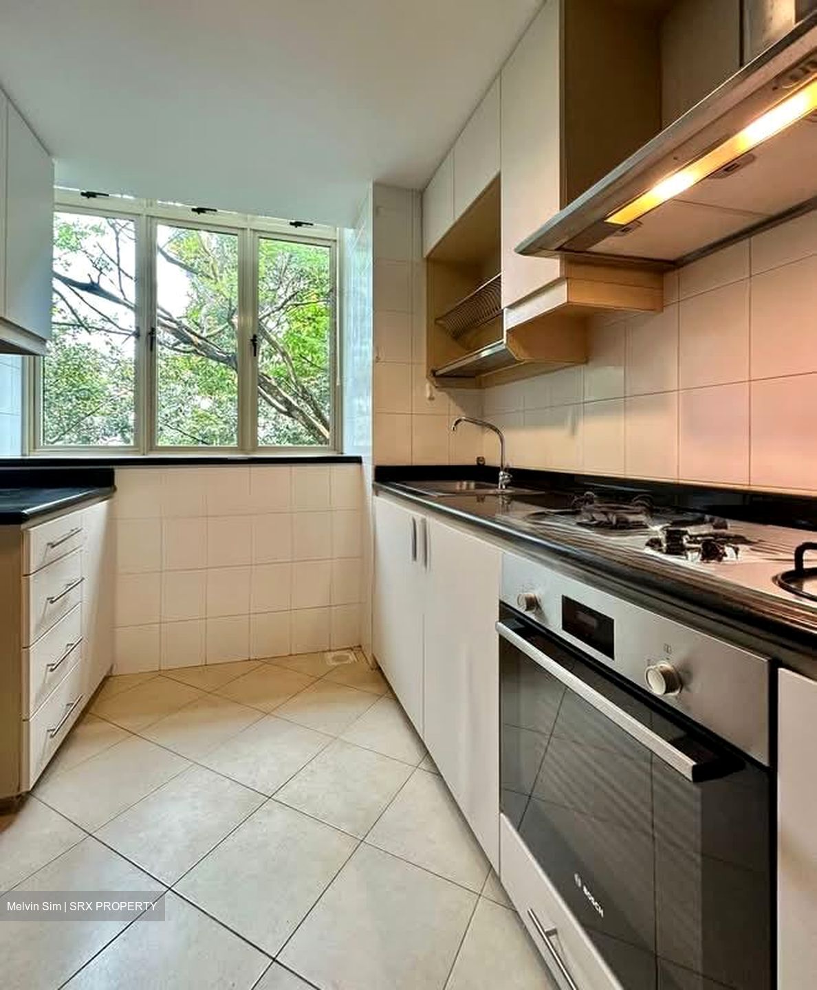 Jervois Regency (D10), Apartment #558291701
